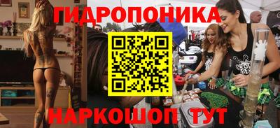 a pvp Аргун
