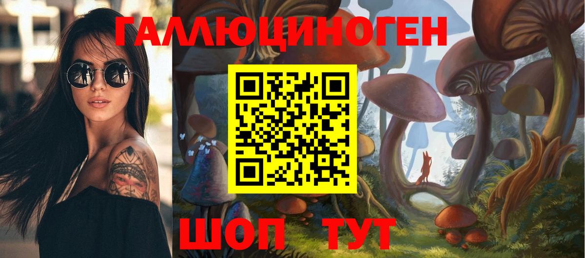 продажа наркотиков  Вход с VPN  Будённовск  Псилоцибиновые грибы Cubensis 